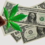 Cannabis Edibles Maker Indiva Reports Record Revenue In 2023, Positive EBITDA And Income From Q4 Operations