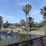 8 teens hospitalized after ingesting ‘cannabis edibles’ on field trip to La Brea Tar Pits