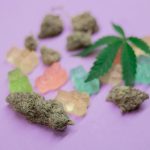 Revolutionizing Cannabis Edibles: Ascend’s New THC-Cannabinoid Blends Now Available In This East Coast Market – Ascend Wellness Holdings (OTC:AAWH)