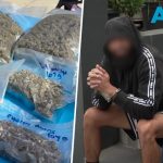 Mass drug bust: Police seize cannabis, edibles, and cash in major sting