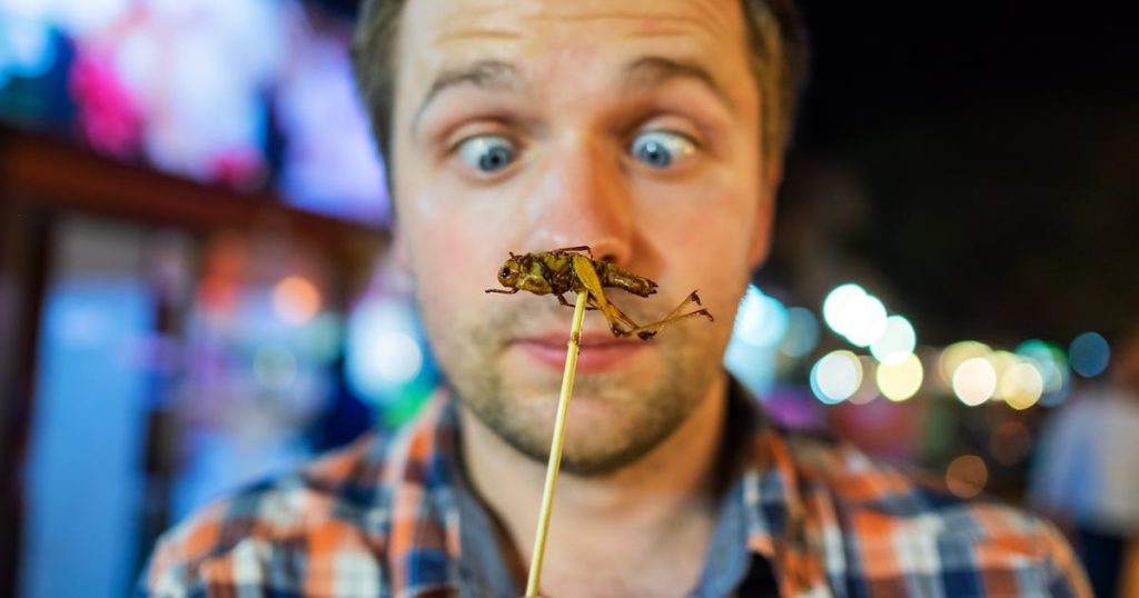 Regulatory ‘deadlock’ stalls edible insect progress