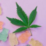 Legalizing Cannabis Edibles Linked to Increased Use in Teens