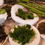 ‘Like finding treasure’: Oregon’s nature offers bounty of edible plants and butter clams