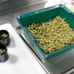 Ohio marijuana users can now buy more flower at dispensaries