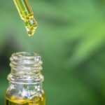 Even low doses of CBD may cause harm to the liver, FDA study finds