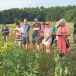 Newhall Fields Farm hosts wild foraging workshop with author Russ Cohen
