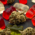 Olean police investigate after child overdoses on marijuana edible