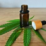 Food Safety Concerns in the CBD Edible Boom