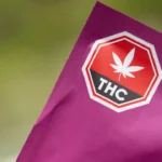 Why can’t legal marijuana shake its addiction to THC?