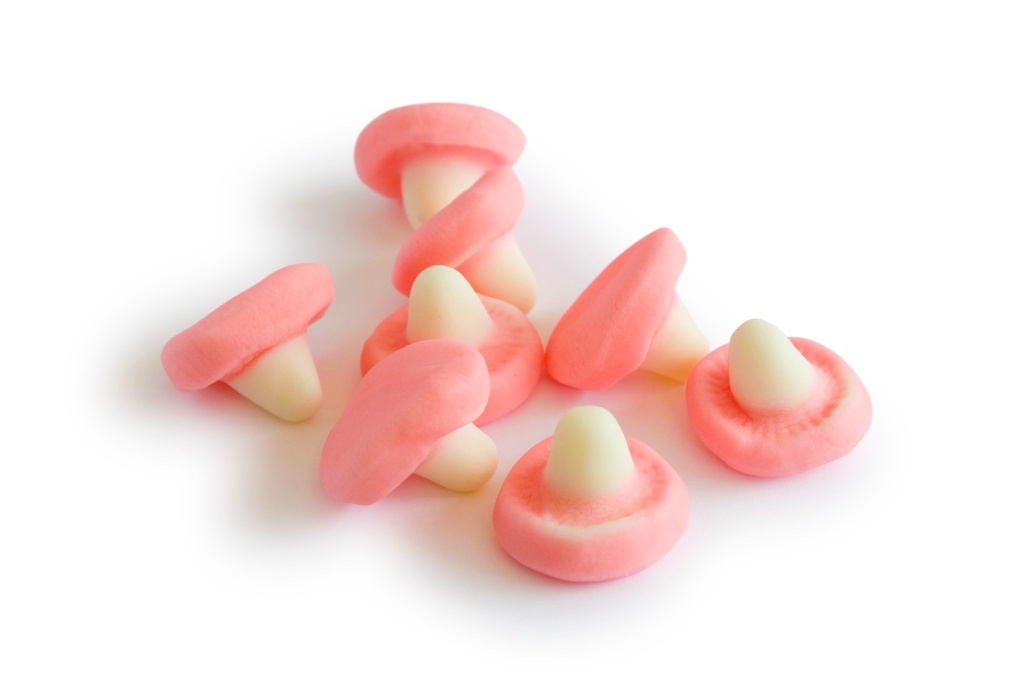 Alarming study raises questions about magic mushroom edibles