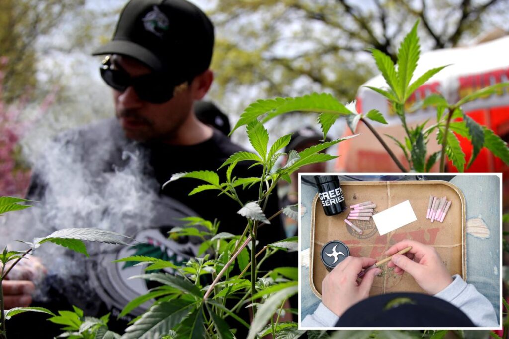 Cannabis poisoning among teens skyrockets since NY legalization: ‘Not…