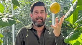 New Plants Radar: Seven standout edible varieties from Prudac