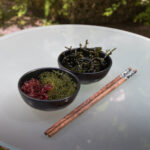 A taste of the sea: Comparing five edible seaweeds