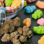 Northeastern Indiana teacher arrested after two students eat THC edible left in classroom