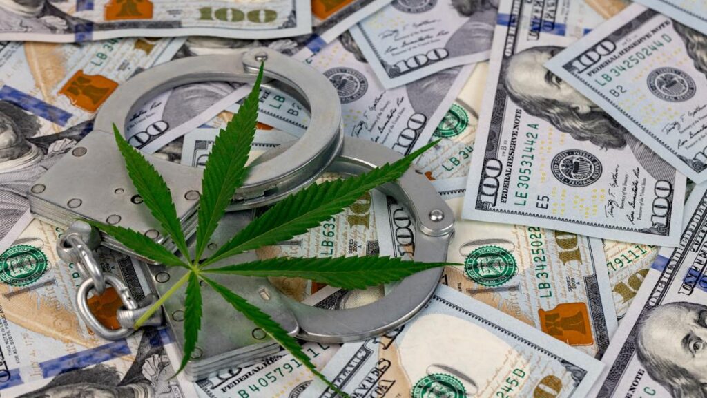 Police seize cannabis, edibles and cash in Orleans County raids