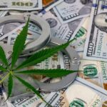 Police seize cannabis, edibles and cash in Orleans County raids