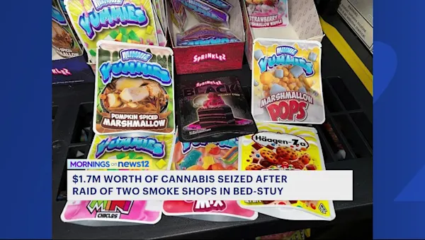 Secret chute found inside Bed-Stuy smoke shop during $1.7M cannabis bust