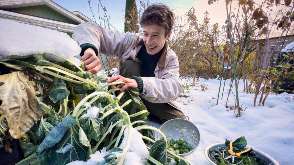 13 Winter Vegetables To Grow In Your Temperate Edible Garden