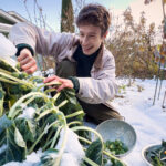 13 Winter Vegetables To Grow In Your Temperate Edible Garden