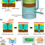 Soft robot powered by edible pneumatic battery and actuator