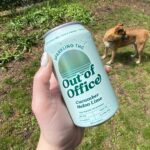 List of THC Products That Might Be Banned in 2026: Gummies, Drinks, and Vapes to Watch