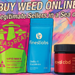 Buy Weed Online: Top 10 Legitimate Sellers in a Sea of Scams