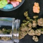 Consumed a cannabis edible? Ontario drivers say this is when impairment peaks