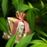 The 25 best cannabis gifts for 2025