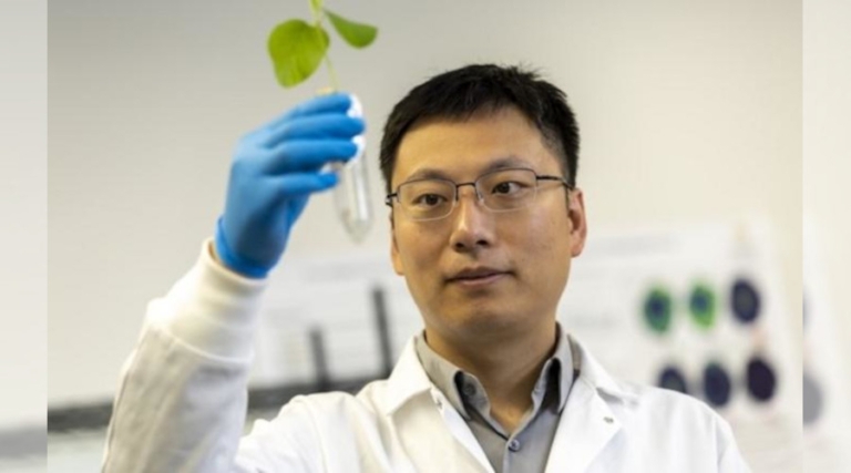 The Impact of PFAS ‘Forever Chemicals’ on Edible Crops, Food Quality