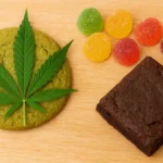 New research warns cannabis edibles impair young drivers long after consumption