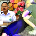 Collapsed foreign tourist in Phuket raises questions about Thailand’s flourishing cannabis edibles sector