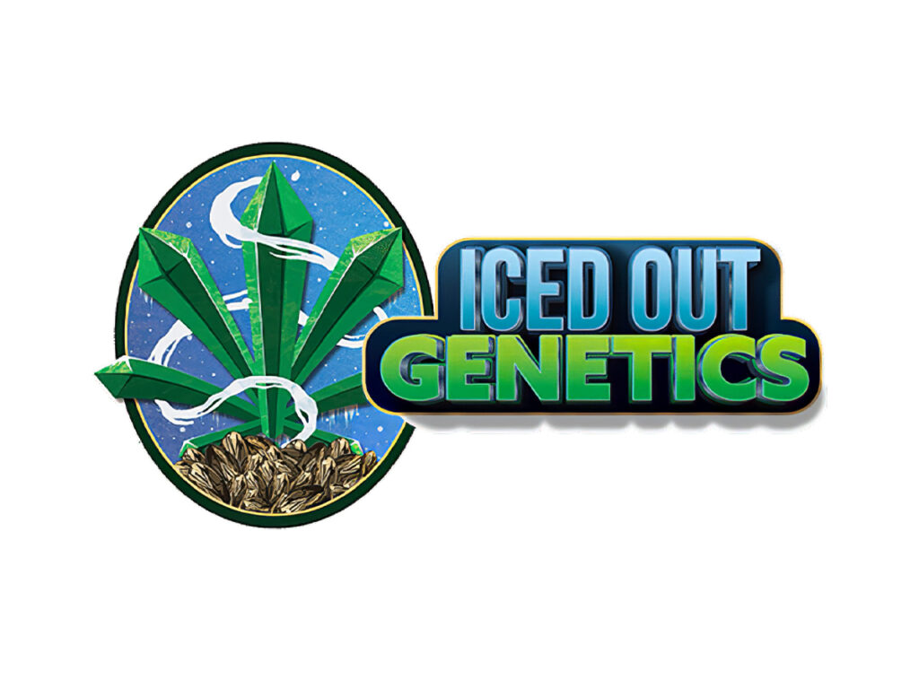 Iced Out Genetics Expands Lineup with Edibles, Rosin Pens, and Crumble