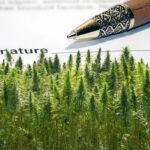 NORML Canada says recent cannabis petition lacks evidence