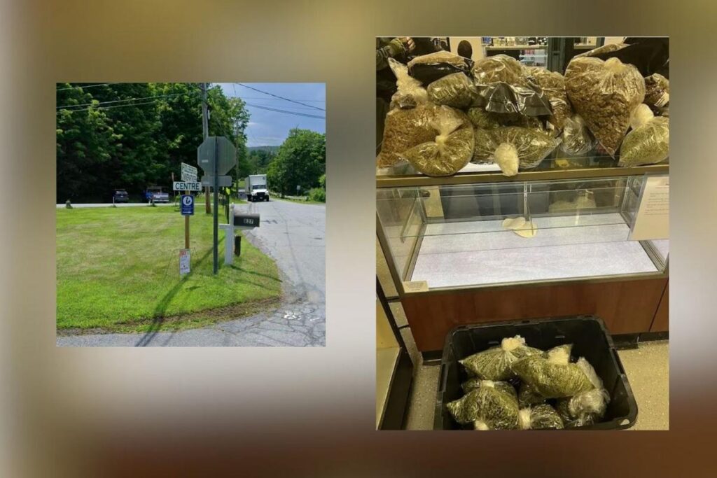 Dutchess County Shop Shut Down As Part Of State Initiative Against Illegal Cannabis Sales