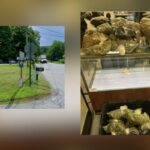 Dutchess County Shop Shut Down As Part Of State Initiative Against Illegal Cannabis Sales