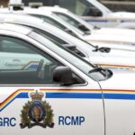 385 packages of edibles seized from illegal cannabis shop