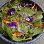 I Grew Edible Flowers for Michelin-star Restaurants, and These Are the 5 Easiest to Grow From Seed – You Can Sow Them Now