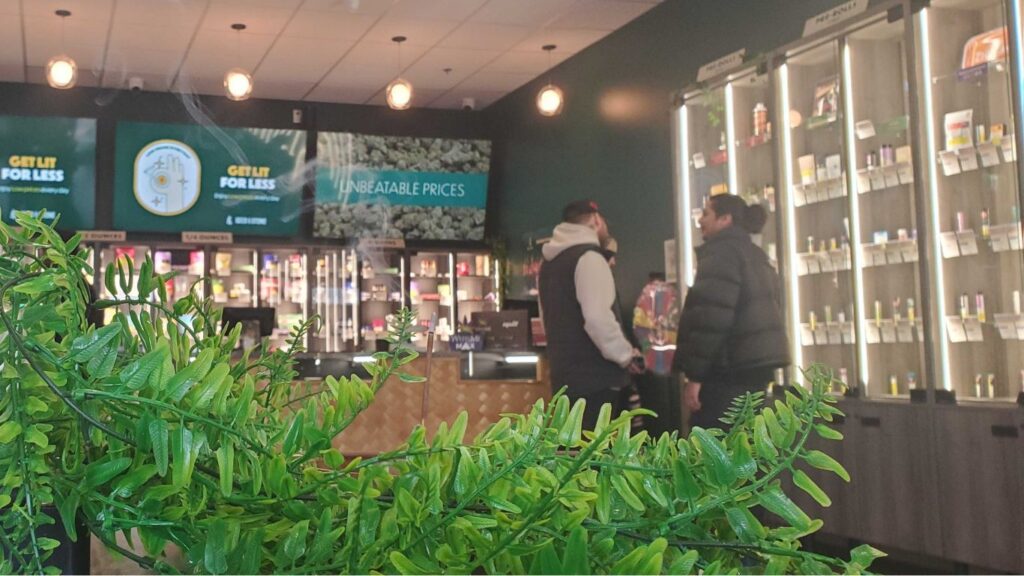 Canadian cannabis sales, licensed space up as extracts and edibles gain market share