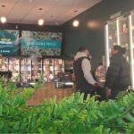 Canadian cannabis sales, licensed space up as extracts and edibles gain market share