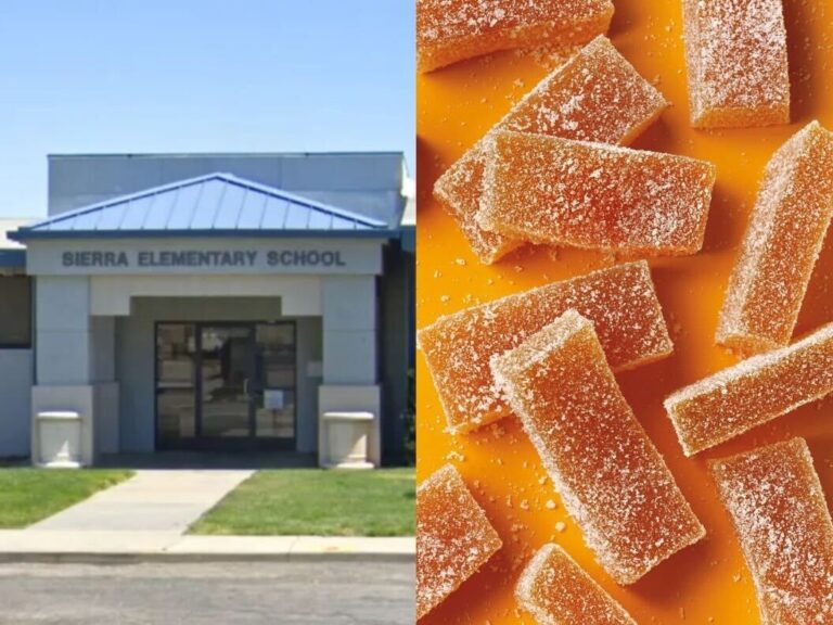 The Outrageous Reason Why a Cali. Substitute Teacher Allegedly Gave Elementary Students 20mg Edibles