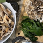 New series at Fairfield Nature Center focuses on foraging and wild edibles