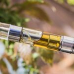 Georgia House Passes Bill to Expand Medical Cannabis Program