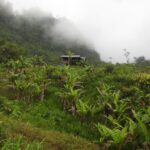 A German Moved to Colombia to Plant an Edible Forest