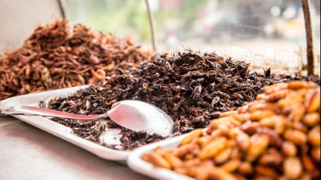 Mexico Eyes Edible Insects as Protein Strategy