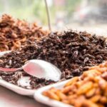 Mexico Eyes Edible Insects as Protein Strategy