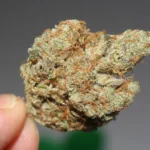 What Do New Ohio Restrictions On Marijuana And Hemp Mean For Consumers And Businesses?