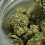 ‘An Attempt To Ban the Industry’: Dallas THC Shops React to Smokable Hemp Rule