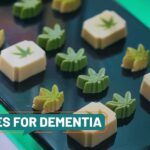 Aging Untold: What families should know about cannabis edibles in dementia care