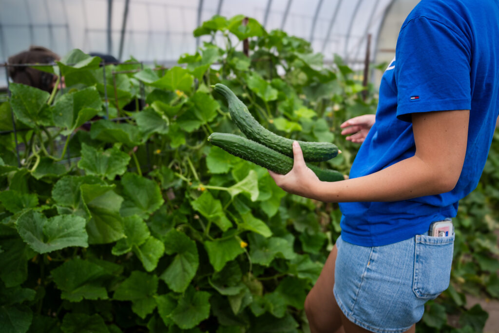 Edible Campus Gardens celebrates 30th anniversary in 2026