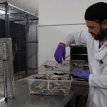 Why people are using cannabis and mushrooms in personal care